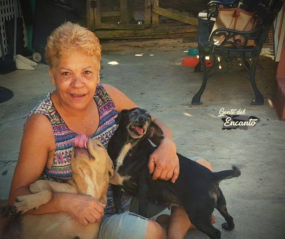 Gloria playing with rescued dogs at the shelter