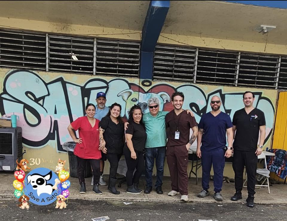 Veterinary team at the shelter