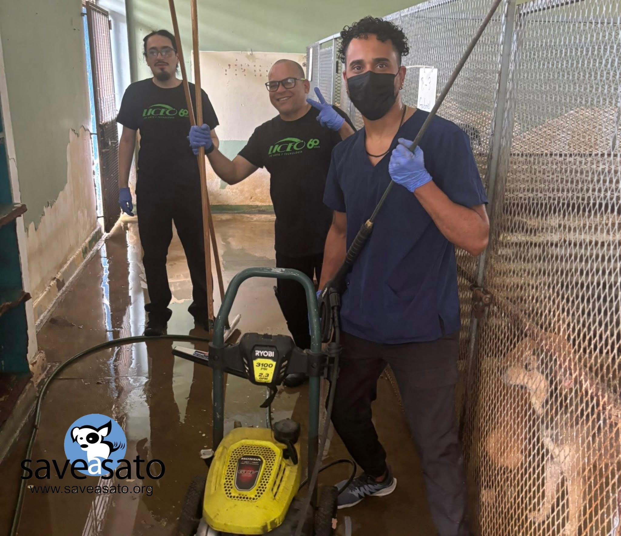 Volunteers deep-cleaning the kennels