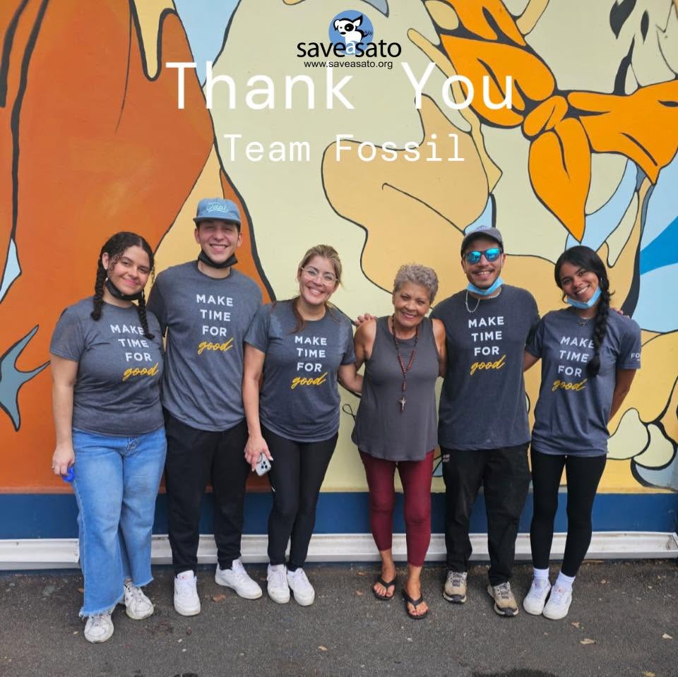 A volunteer group at the shelter