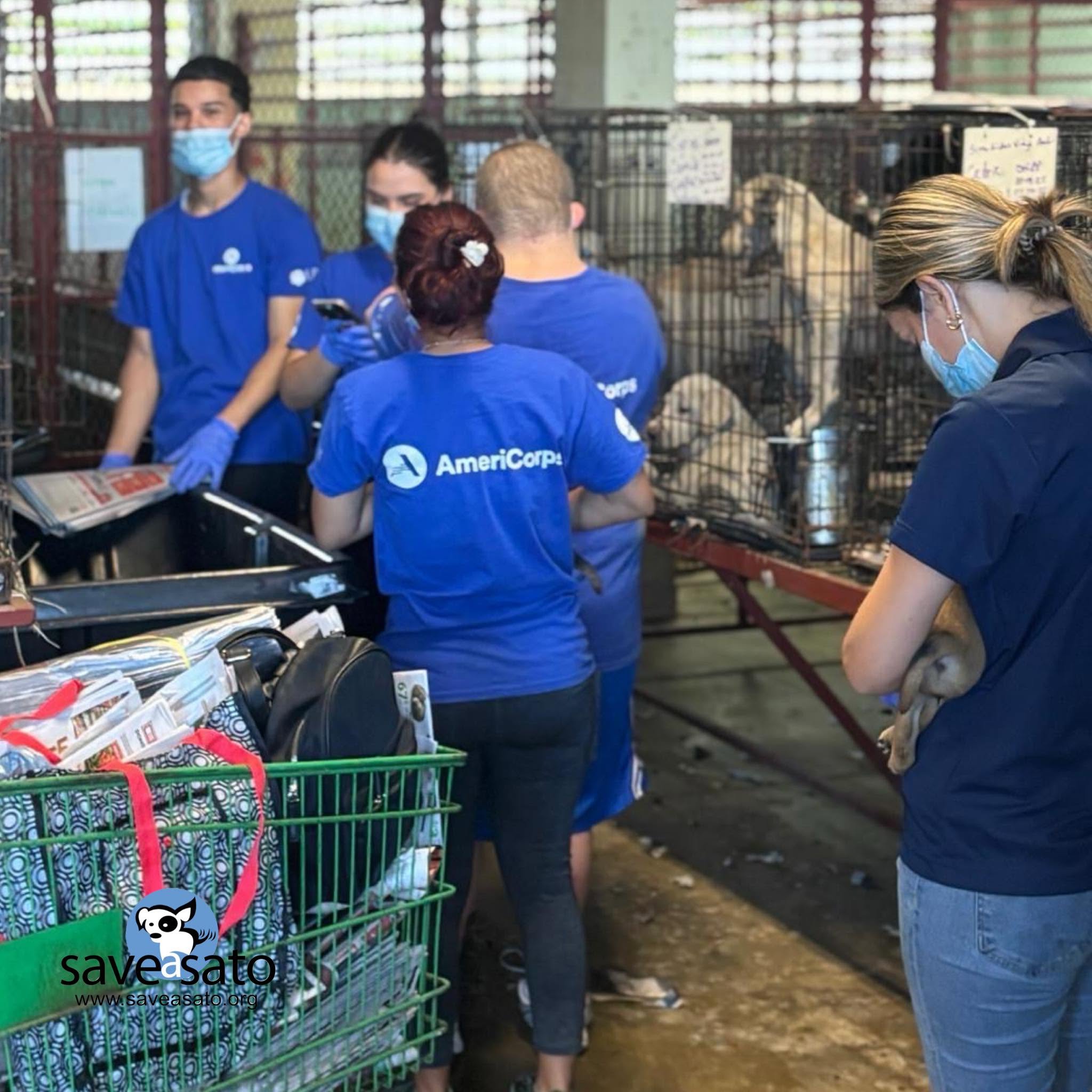 Volunteers helping with the daily shelter routine
